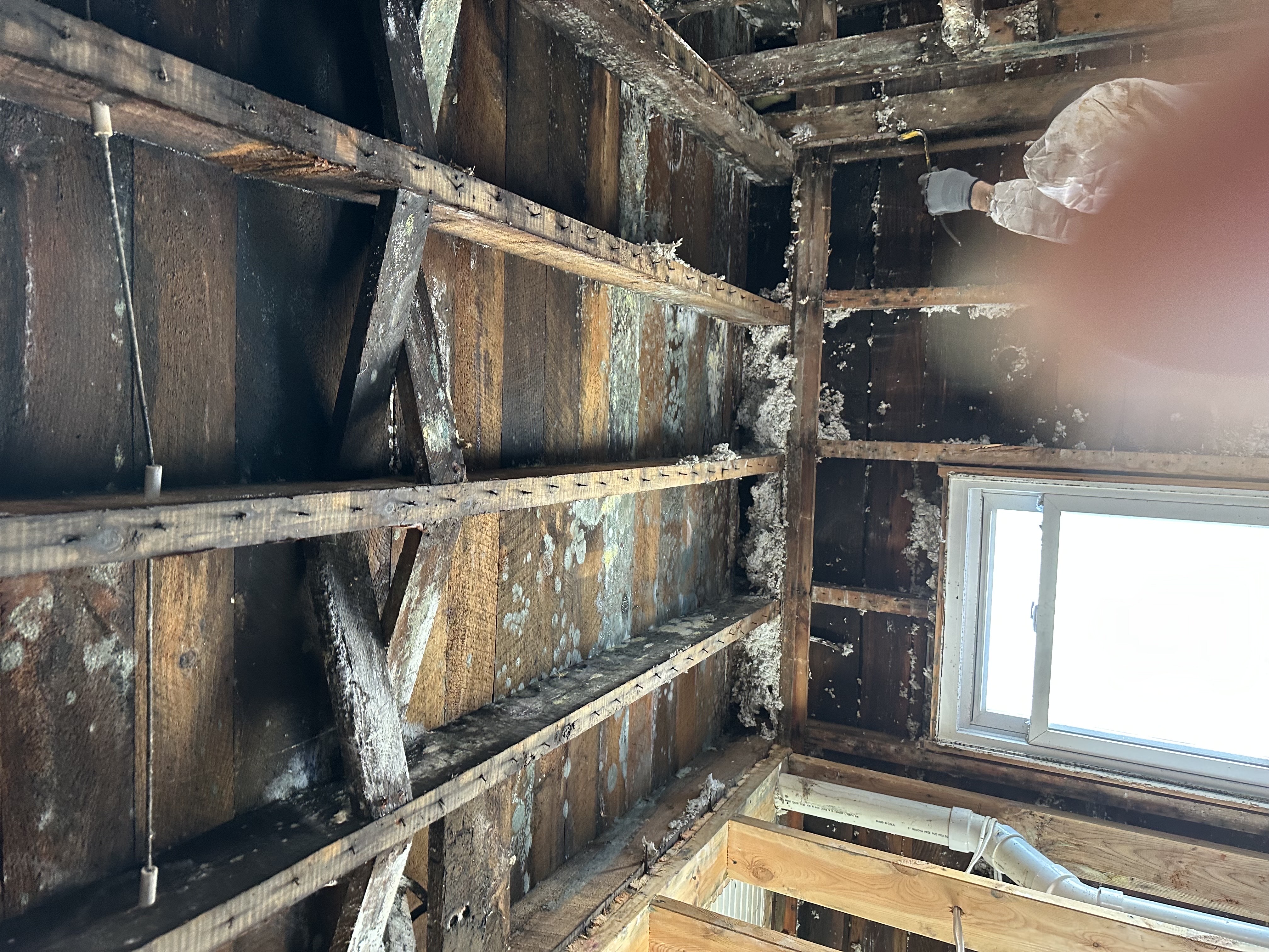 Structural Drying in Wright County, Minnesota - Water Damage Cleanup .AI CORP | American Restores Group